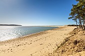 Estuary of Payré, Natura 2000 site, Dunes de la Plage du Veillon, Talmont St Hilaire, Pays de Loire, Vendée, France