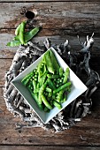 Sugar peas and Garden peas (Pisum sativum) in a dish, harvested from the garden