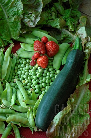 Fruits_and_vegetables_from_the_vegetable_garden_harvest_of_Strawberry_Fragaria_vesca_Sugar_peas_and_