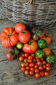 Beefsteak, Cherry, Green Zebra and Crimean Black tomatoes (Solanum lycopersicum)