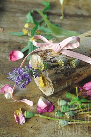 Garden_treasures_edible_and_officinal_plants_rose_petals_Rosa_sp_poppy_seeds_Papaver_rhoeas_Lavender