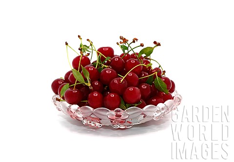 Ripe_cherry_in_a_translucent_beautiful_plate_on_a_light_background_Natural_product_Natural_color_Clo