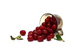 Ripe cherry in a transparent glass on a light background. Natural product. Natural color. Close-up