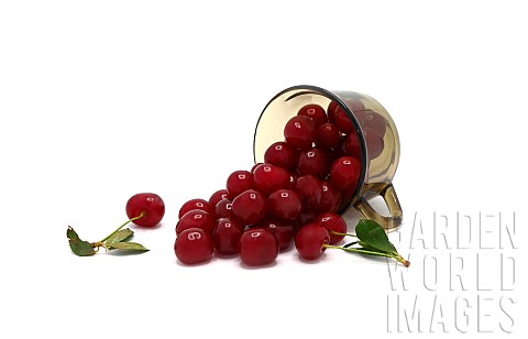Ripe_cherry_in_a_transparent_glass_on_a_light_background_Natural_product_Natural_color_Closeup