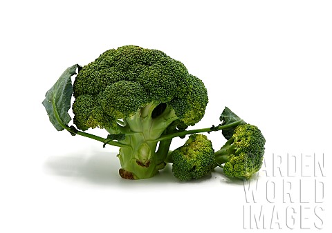 Raw_broccoli_inflorescence_on_a_light_background_Natural_product_Natural_hue_Closeup