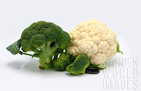 Raw_broccoli_and_cauliflower_on_a_light_background_Natural_product_Natural_hue_Closeup