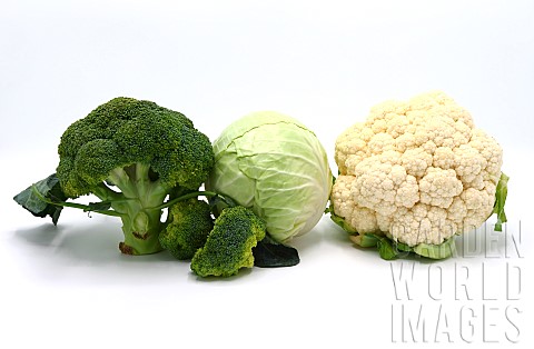 Head_of_cabbage_inflorescences_of_broccoli_and_cauliflower_on_a_light_background_Natural_product_Nat