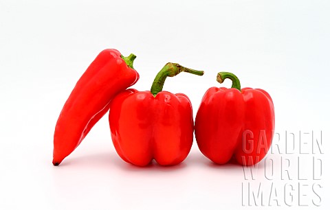 Three_red_ripe_sweet_peppers_on_a_light_background_Natural_product