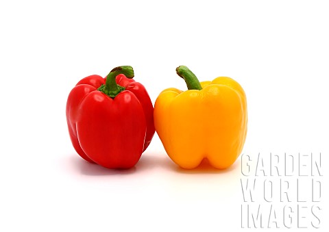 Two_sweet_peppers_of_yellow_and_red_color_on_a_light_backgroundNatural_product_Natural_color_Closeup
