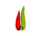 Two red and green chili peppers on a light background. Natural product. Natural color. Close-up.