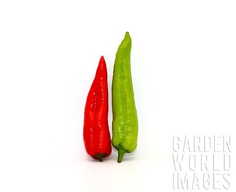 Two_red_and_green_chili_peppers_on_a_light_background_Natural_product_Natural_color_Closeup