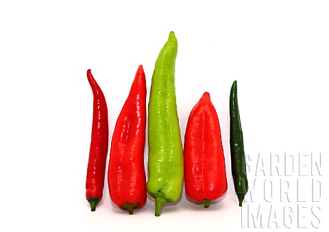 Composition_of_several_types_of_sweet_pepper_of_different_shapes