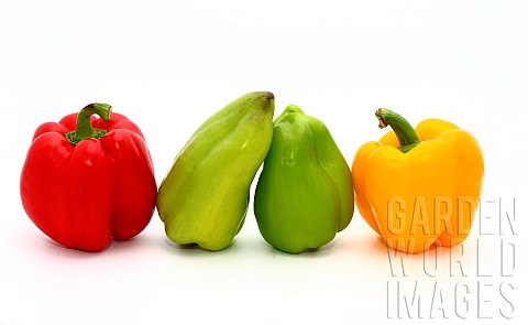Four_sweet_ripe_peppers_of_red_green_and_yellow_color_on_a_light_background_Natural_product_Natural_