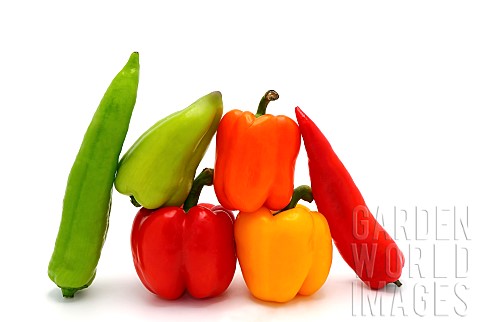 Composition_of_several_types_of_sweet_pepper_of_different_shapes_colors_and_sizes_on_a_light_backgro