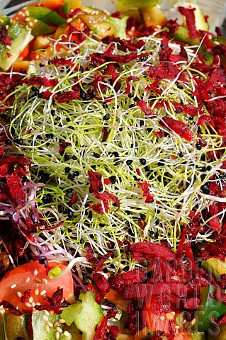 Raw_vegetable_salad_beetroot_tomato_cucumber_with_sprouted_seeds