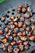 Pan-roasted chestnuts, chestnuts (Castanea sativa) harvested in the forest, seasonal food