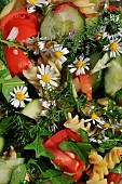 Garden salad with pastas, tomatoes, cucumbers, edible flowers, daisies, dandelion and yarrow, wild edible plants