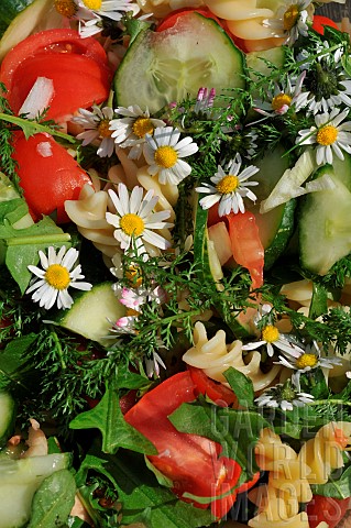 Garden_salad_with_pastas_tomatoes_cucumbers_edible_flowers_daisies_dandelion_and_yarrow_wild_edible_
