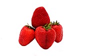 Several ripe strawberries on a light background. Natural color and shape. Close-up.