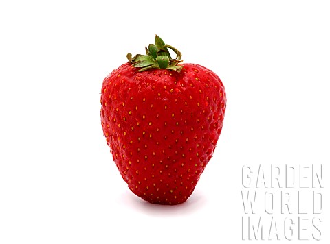 One_ripe_strawberry_on_a_light_background_Natural_color_and_shape_Closeup