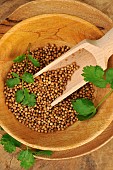 Coriander (Coriandrum sativum) seeds with Coriander leaf in a plate and a wooden spoon - aromatic plant