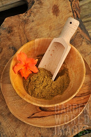 Cumin_Cuminum_cyminum_spice_powder_in_a_wooden_plate_and_spoon_orange_Azalea_flower_as_decoration