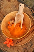 Turmeric (Curcuma longa) spice powder and rhizome in a wooden bowl, Azalea flower as decoration