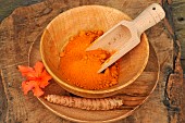 Turmeric (Curcuma longa) spice powder and rhizome in a wooden bowl, Azalea flower as decoration