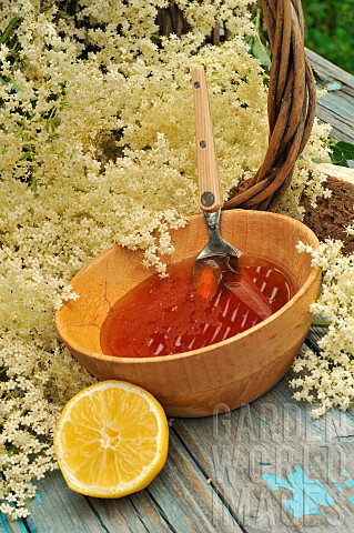 Elderflower_Sambucus_jelly_in_a_wooden_bowl_elderflowers_lemon_and_wooden_spoon