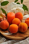 Apricots (Prunus armeniaca) and candle in a wooden plate on a flowery table in the countryside with old lace to embellish the table