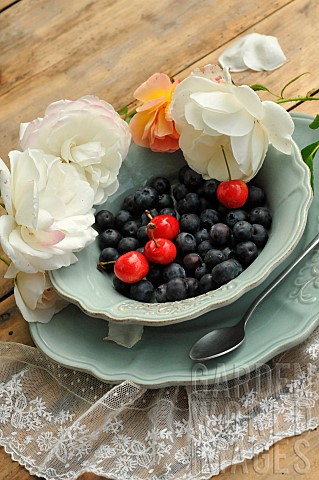 Blue_plate_full_of_blueberries_and_cherries_from_the_garden_flowered_table_in_the_country_with_old_l