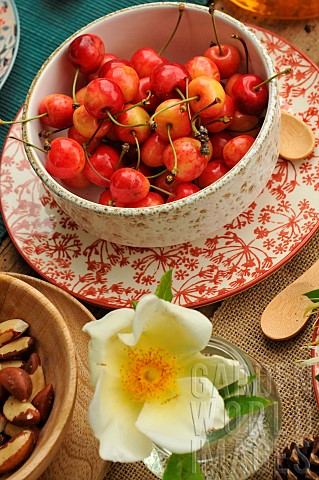 Napoleon_cherries_in_a_white_bowl_and_a_plate_with_plant_motifs_in_red_tones