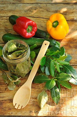Sweeet_bay_Laurus_nobilis_dried_bay_leaves_in_a_transparent_jar_and_freshly_cut_branches_courgettes_