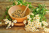 Feverfew (Tanacetum parthenium) flowers and dried in a wooden bowl, aromatic and medicinal plant. Herbal tea with anti-inflammatory, antispasmodic and sedative properties, facilitates difficult digestion