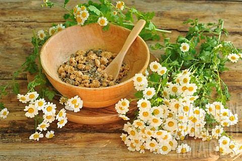 Feverfew_Tanacetum_parthenium_flowers_and_dried_in_a_wooden_bowl_aromatic_and_medicinal_plant_Herbal