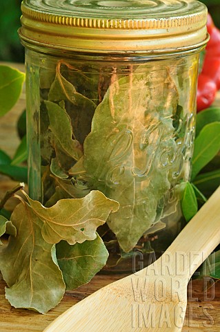Sweeet_bay_Laurus_nobilis_dried_bay_leaves_in_a_transparent_jar_and_wooden_spoon_on_a_wooden_table_B