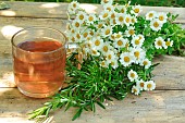 Infusion Chamomile-Rosemary. Rosemary (Rosmarinus officinalis) and Chamomile (Tanacetum parthenium), medicinal plants. Infusion in a transparent cup