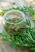 Rosemary (Rosmarinus officinalis). Fresh and dried rosemary in a glass jar, medicinal and aromatic plant