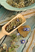 Borage officinale. Borage officinale (Borago officinalis) - blue flowered plant dried in a light blue plate and wooden measuring spoon - depurative, diuretic, for respiratory disorders, used in cosmetics for oily skin.