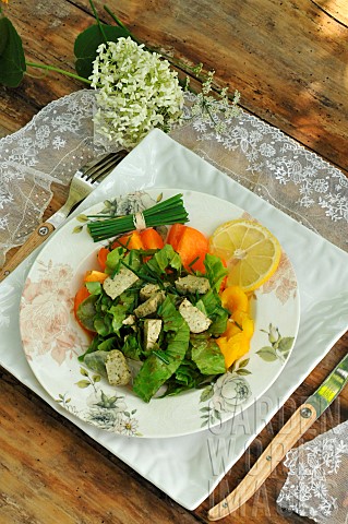 Chives_Allium_schoenoprasum_Civet__Chives__Food__salad_plate_orange_tomatoes_tofu_with_herbs_lemon_a