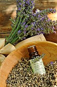 Lavender (Lavandula sp), flower bouquet, dried flowers and essential oil bottle, medicinal plant, benefits