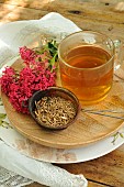 Red valerian (Centranthus ruber) flowers, roots for infusion and decoction, soothing, promotes sleep