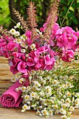 Sweet pea (Lathyrus odoratus), white aster and fountaingrass (Pennisetum sp) flower clusters