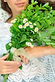 Bunch of Melissa (Melissa officinalis) and feverfew (Tanacetum parthenium), plants that promote sleep, held by a young woman lying down, sleeping in the garden