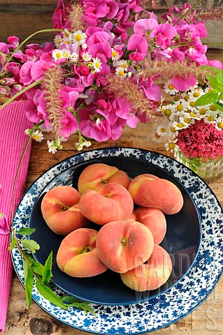 Flat_peaches_Prunus_persica_var_platycarpa_Sweet_pea_Lathyrus_odoratus_and_white_asters_Chamomile_an
