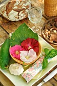 Edible hollyhock (Alcea rosea), Basil (Ocimum basilicum), Garlic (Allium sativum), Cucumber (Cucumis sativus) flowers for salads in summer.