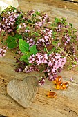 Oregano (Origanum vulgare), aromatic and medicinal plant, oregano sprigs and capsules