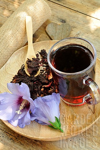 Hibiscus_flowers_and_dried_flowers_with_infusion__Medicinal_properties