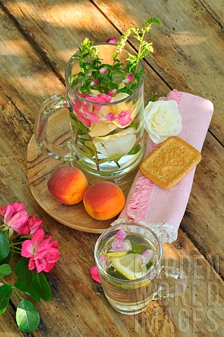 Refreshing_mint_drink_Mentha_spicata_in_a_carafe_with_rose_petals_Rosa_sp_and_lemon_Citrus_limon_vir