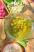 Wild fennel (Foeniculum vulgare), aromatic, purifying and revitalising plant with therapeutic qualities, aniseed flavour in cooking